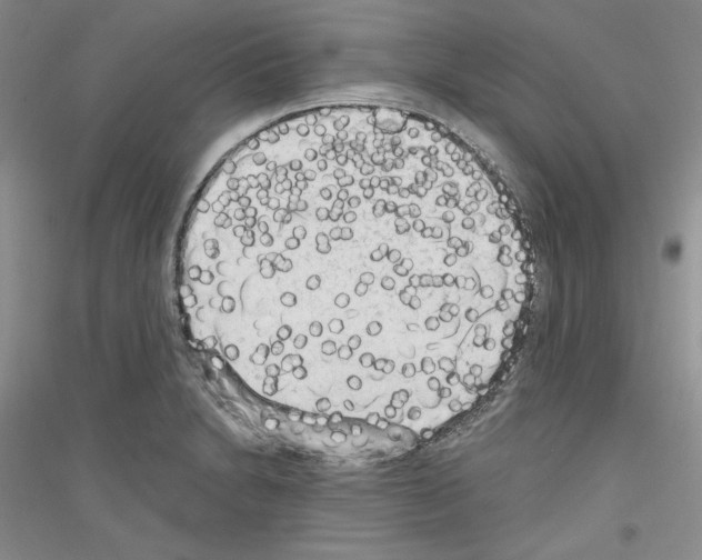 X0000116851230201002021038