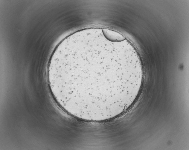 X0000116851238201002021038