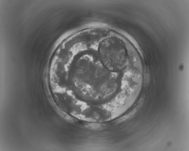 X0000116851245201002021039