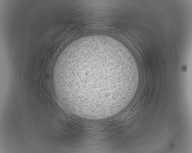 X0000116851249201002021038