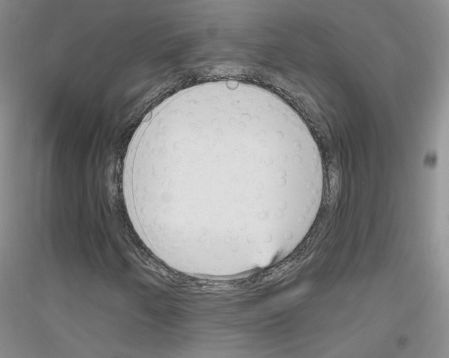 X0000116851250201002021038