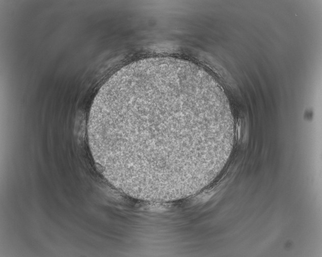 X0000116851251201002021038