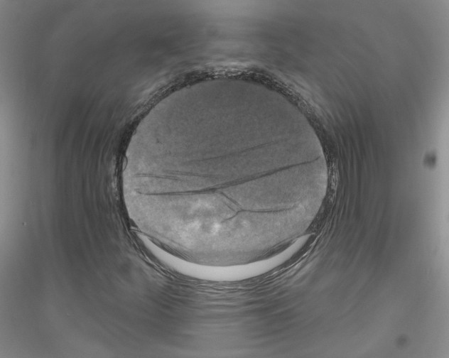 X0000116851252201002021038
