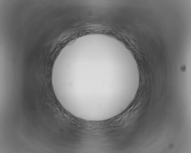 X0000116851253201002021038