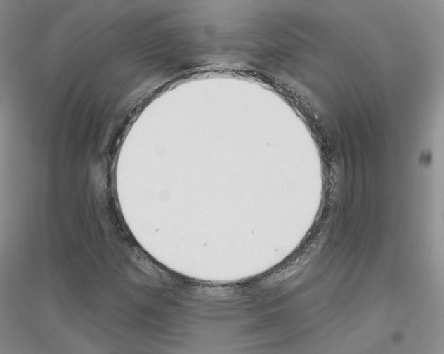 X0000116851257201002021038