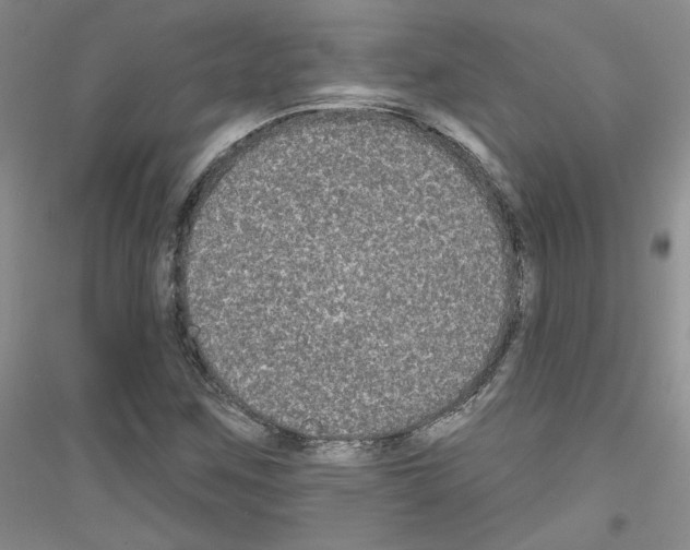 X0000116851259201002021038