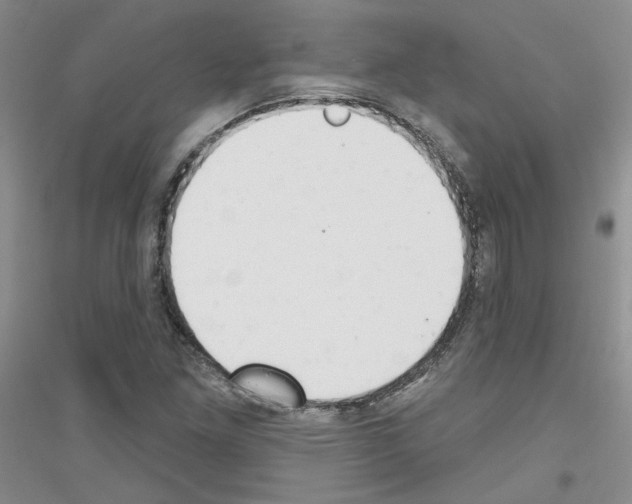 X0000116851261201002021038