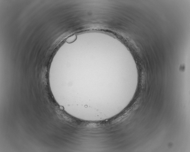 X0000116851265201002021038