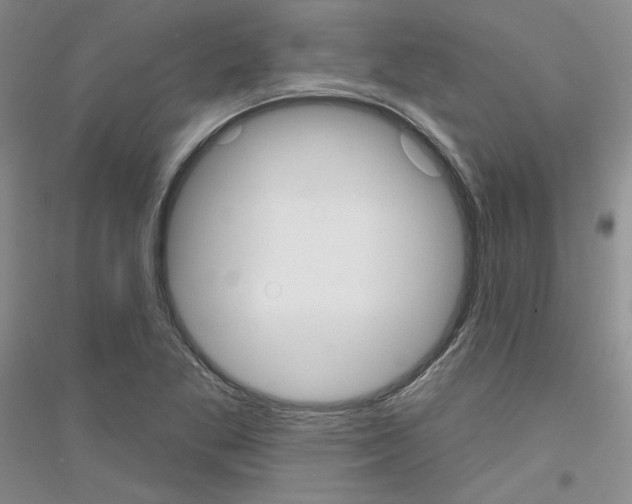X0000116851269201002021038