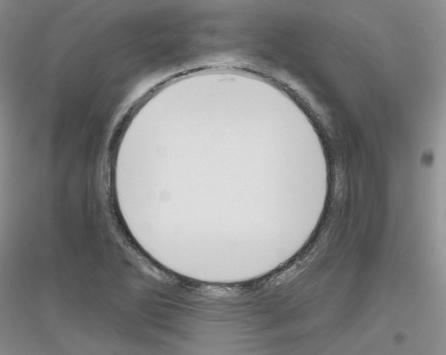 X0000116851270201002021038