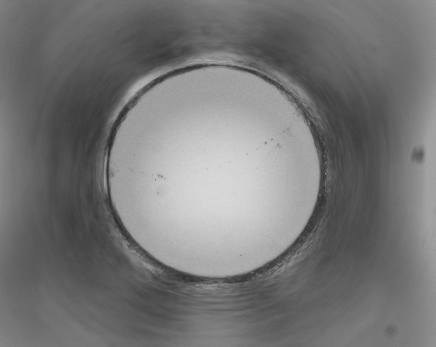 X0000116851272201002021038