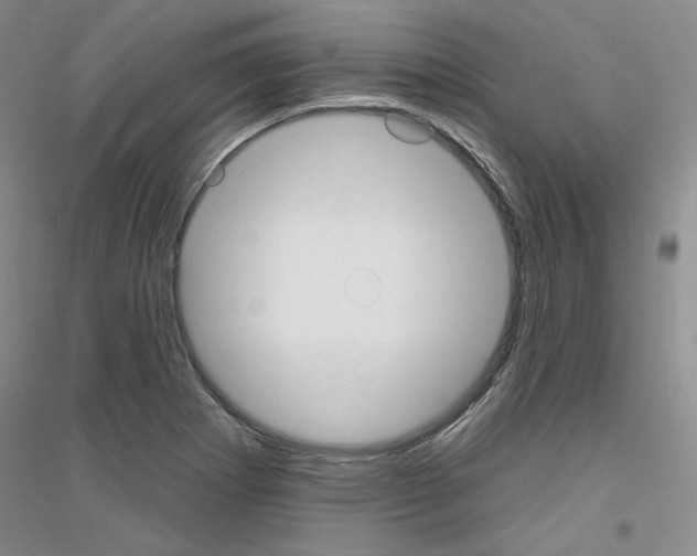 X0000116851273201002021038