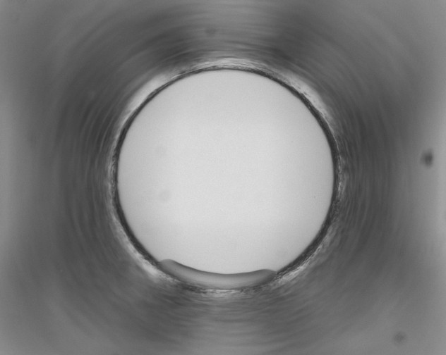X0000116851282201002021037