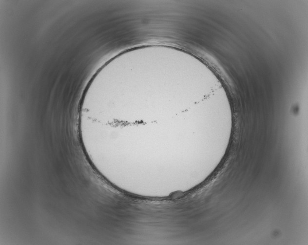 X0000116851284201002021037