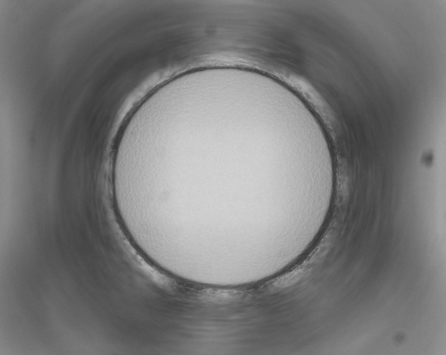 X0000116851286201002021037