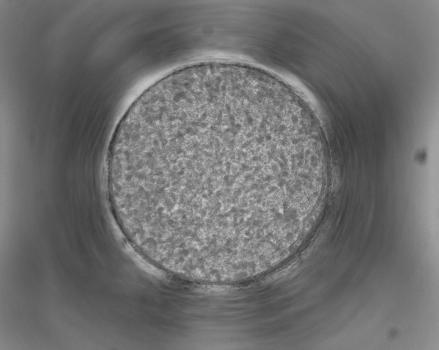 X0000116851287201002021037