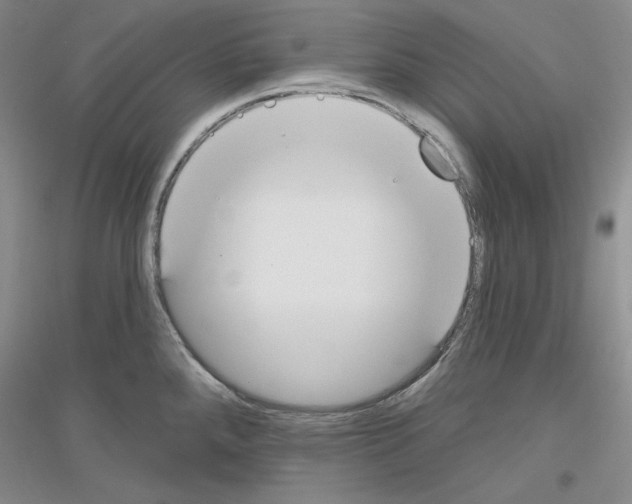 X0000116851288201002021037