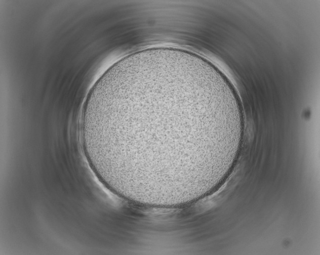 X0000116851290201002021037