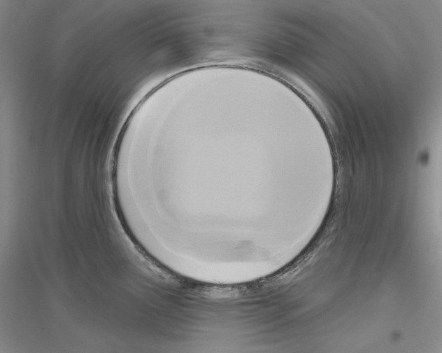 X0000116851291201002021037