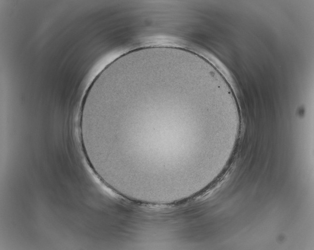 X0000116851293201002021037