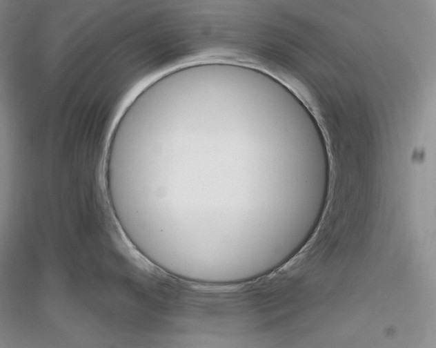 X0000116851296201002021037