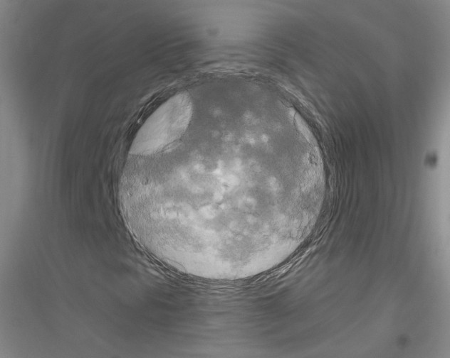 X0000116851297201002021037