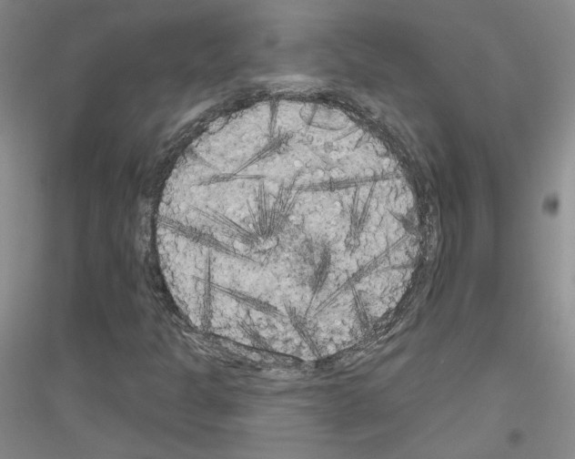X0000116851301201002021037