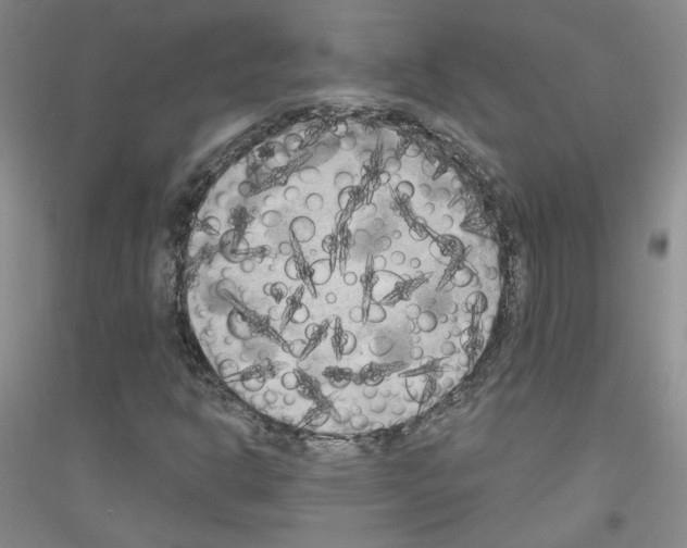 X0000116851302201002021037