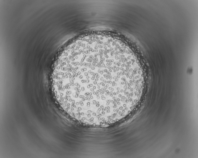 X0000116851305201002021037
