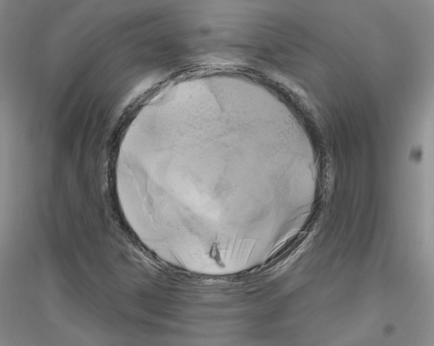 X0000116851306201002021037
