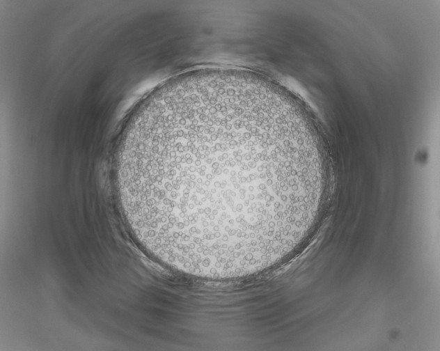 X0000116851307201002021037