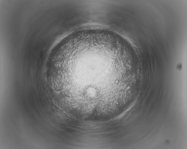 X0000116851309201002021037