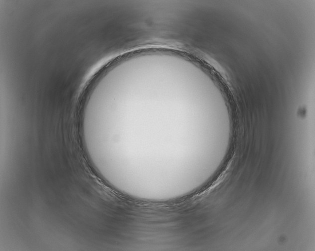 X0000116851310201002021037