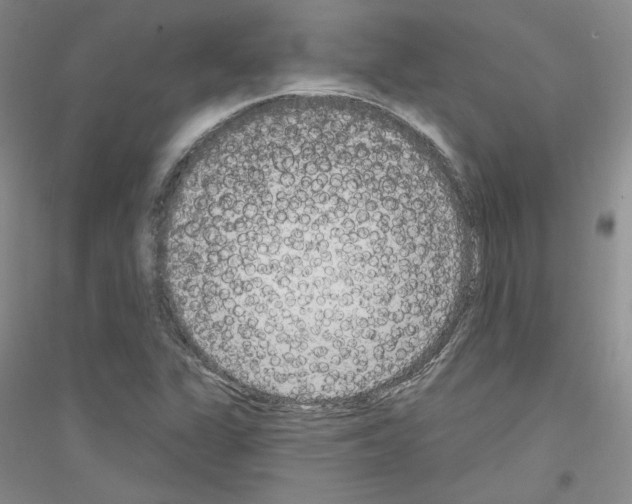 X0000116851311201002021037