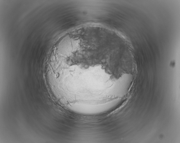 X0000116851313201002021037