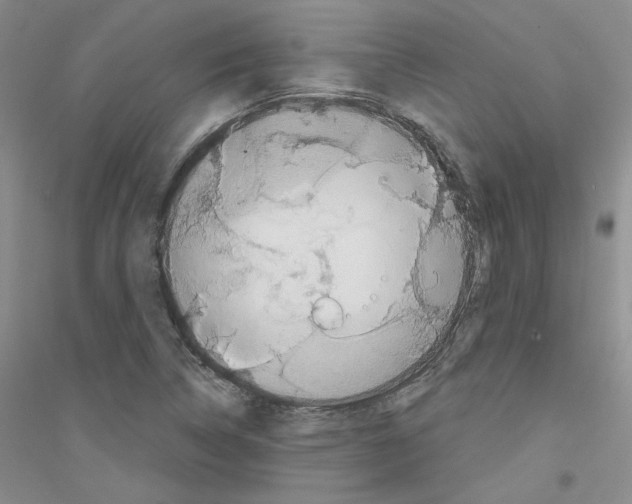 X0000116851314201002021037