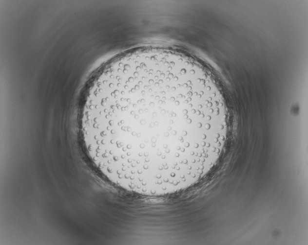 X0000116851315201002021037