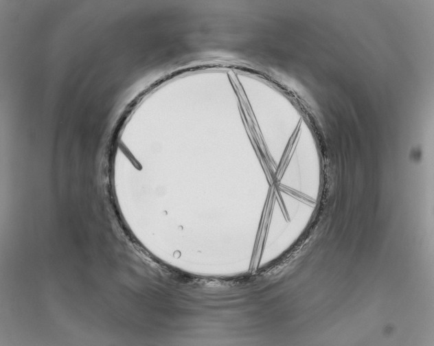 X0000116851318201002021037