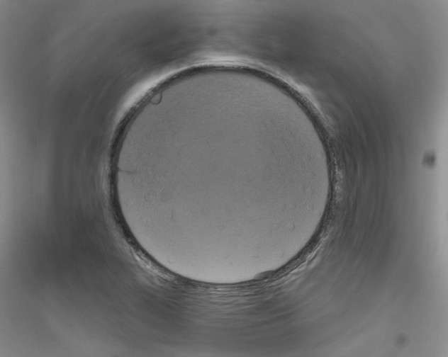 X0000116851319201002021037
