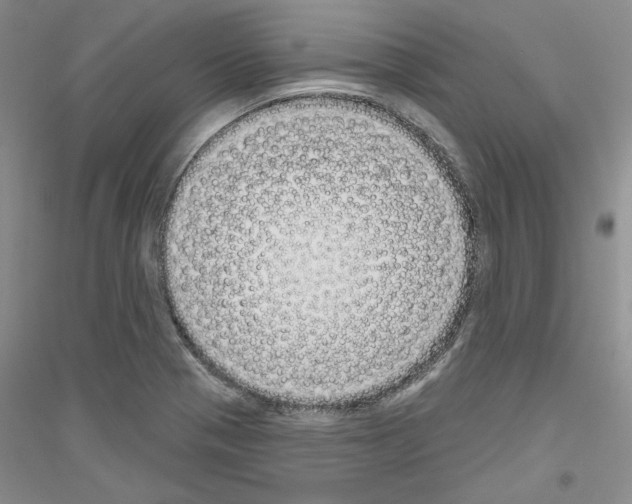 X0000116851321201002021037