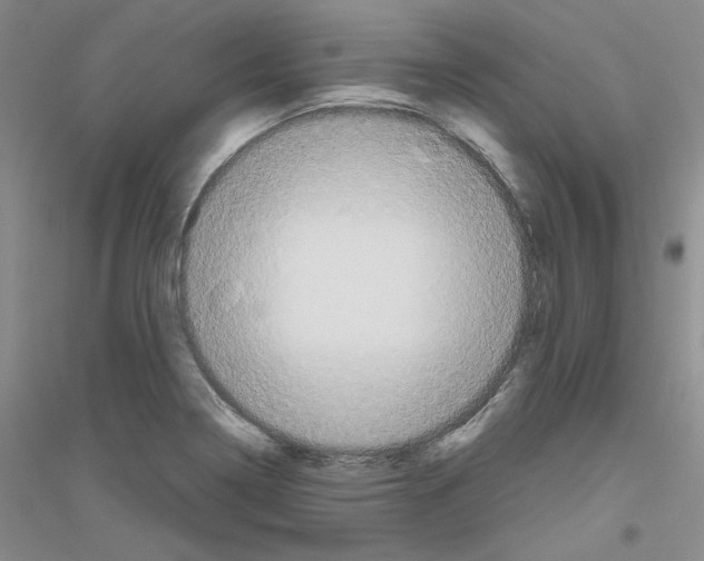X0000116851322201002021037