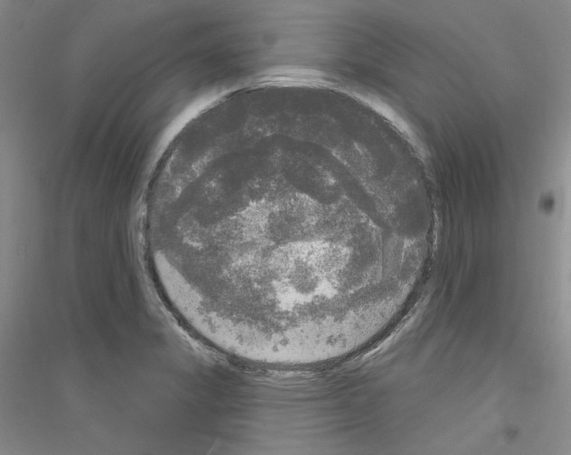 X0000116851325201002021037