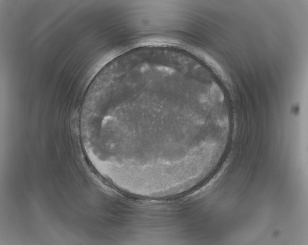 X0000116851329201002021037