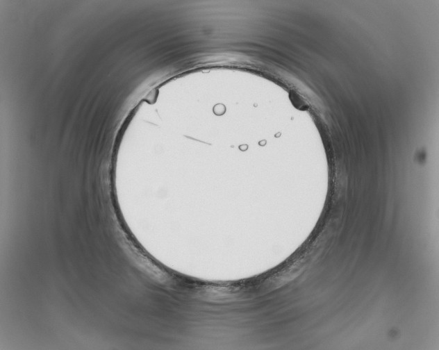 X0000116851330201002021037