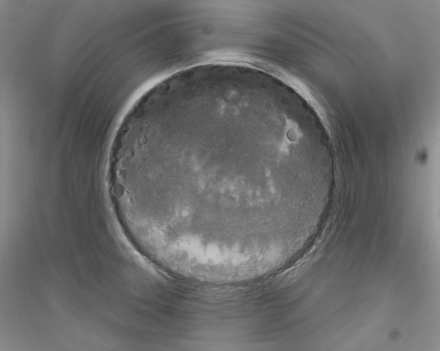 X0000116851331201002021037