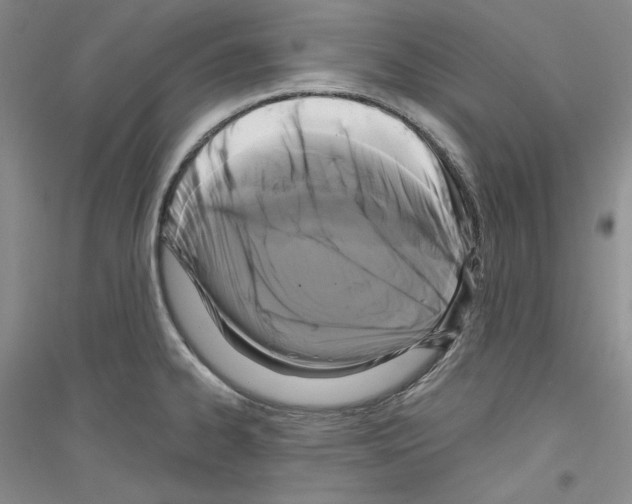 X0000116851334201002021037