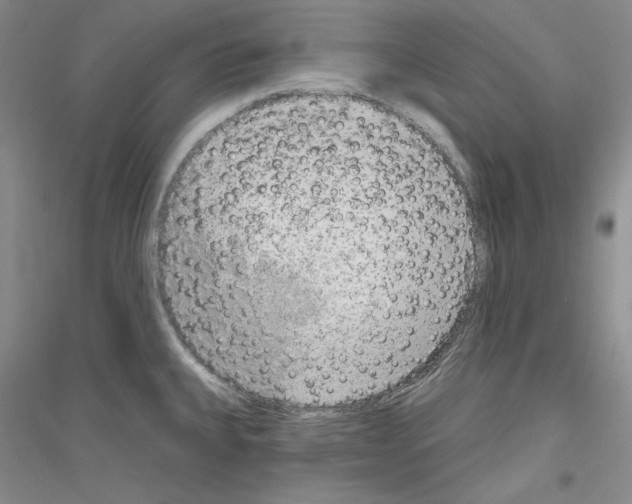 X0000116851335201002021037