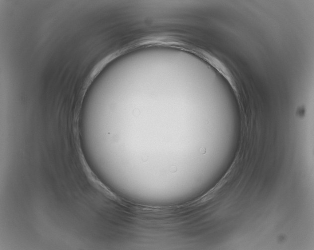 X0000116851338201002021037
