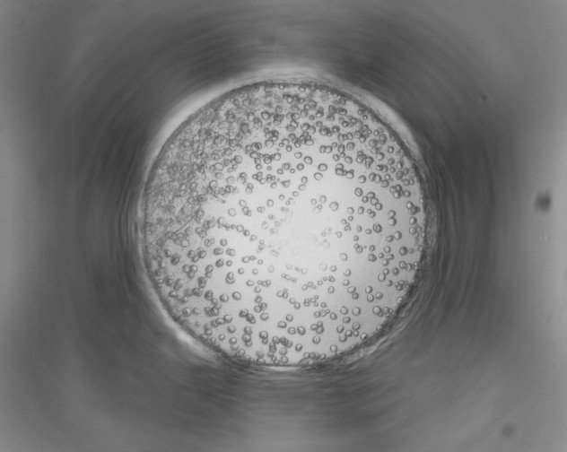 X0000116851343201002021037