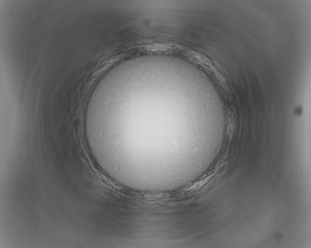 X0000116851345201002021037